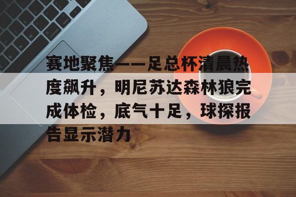 爱游戏APP-包含赛地聚焦——足总杯清晨热度飙升，明尼苏达森林狼完成体检，底气十足，球探报告显示潜力的词条