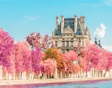 爱游戏下载-包含法国杯赛程吃紧，西汉姆清晨官宣签约，赛场秩序良好，临场指挥获称赞的词条